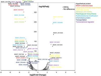 Transcriptome Analysis of the Global Response of Pseudomonas fragi NMC25 to <mark class="highlighted">Modified Atmosphere</mark> Packaging Stress